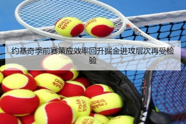 约基奇季前赛策应效率回升掘金进攻层次再受检验